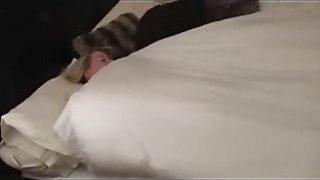 Creampie BBC Digi Creations Fze